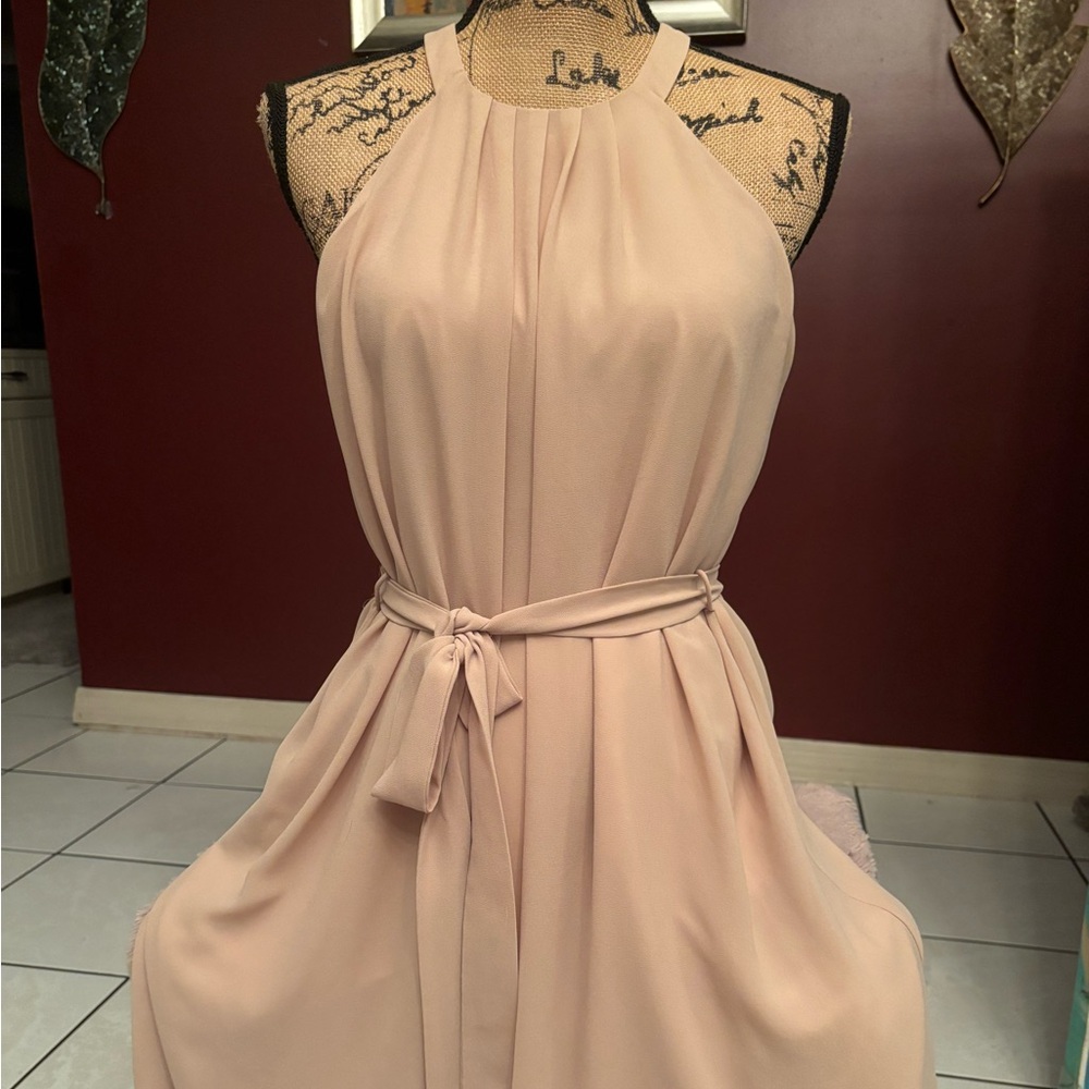 Naked Zebra Blush Backless Dress